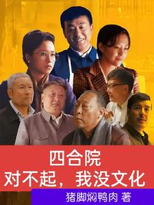 四合院：对不起，我没文化四合院：对不起，我没文化